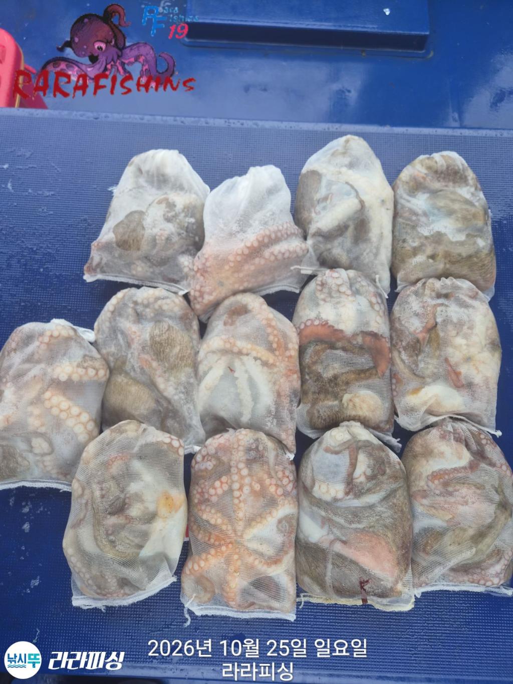 낚시뚜,돌문어,속천항(진해),라라피싱,낚시뚜16