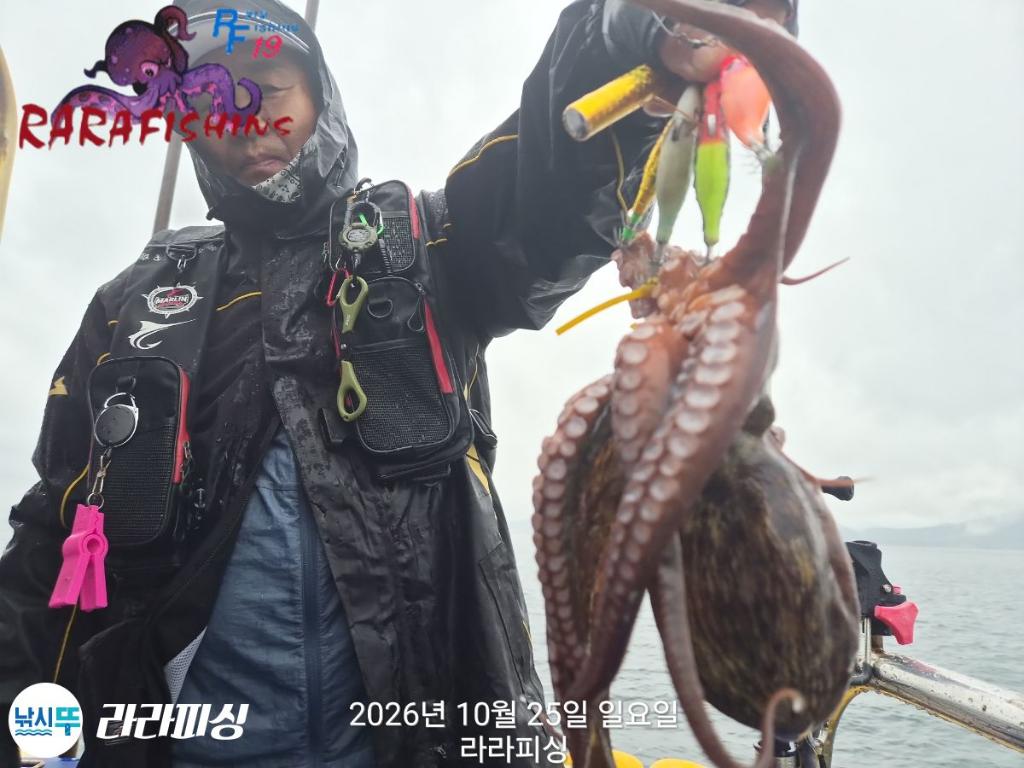 낚시뚜,돌문어,속천항(진해),라라피싱,낚시뚜7