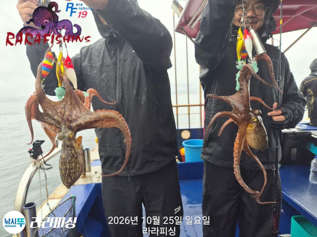 낚시뚜,돌문어,속천항(진해),라라피싱,낚시뚜6