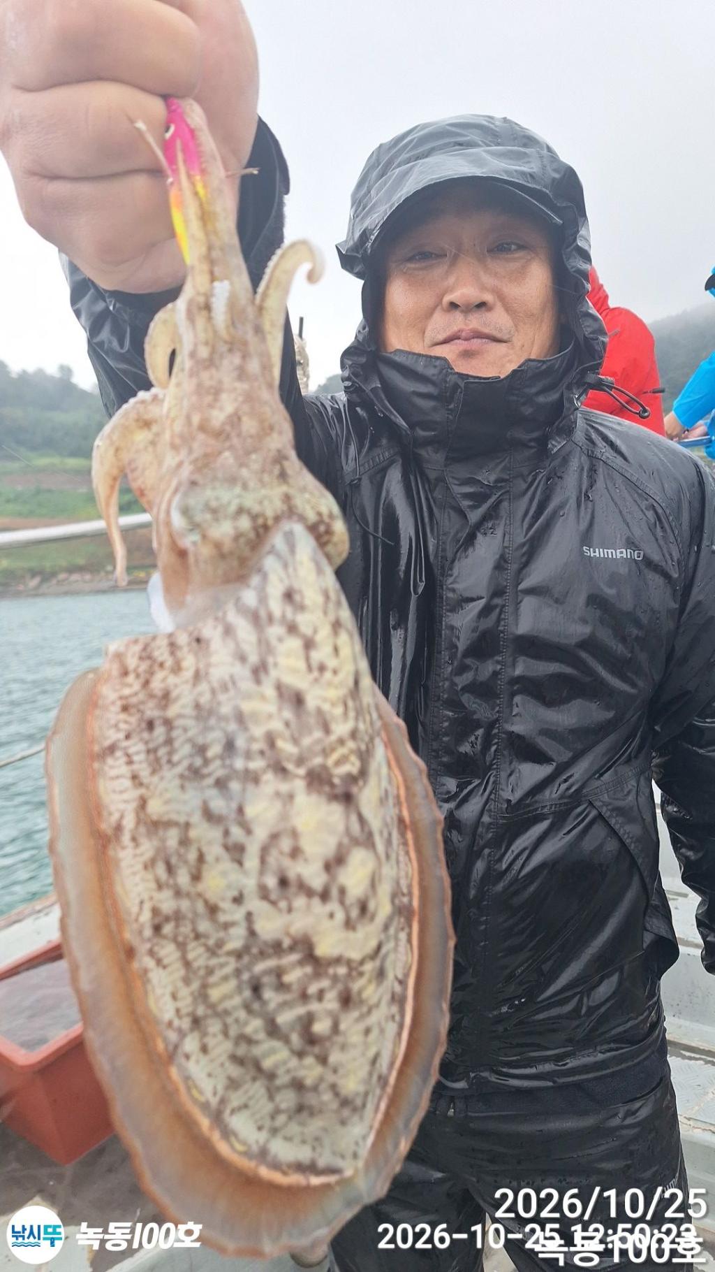 낚시뚜,갑오징어,녹동항,녹동100호,낚시뚜2