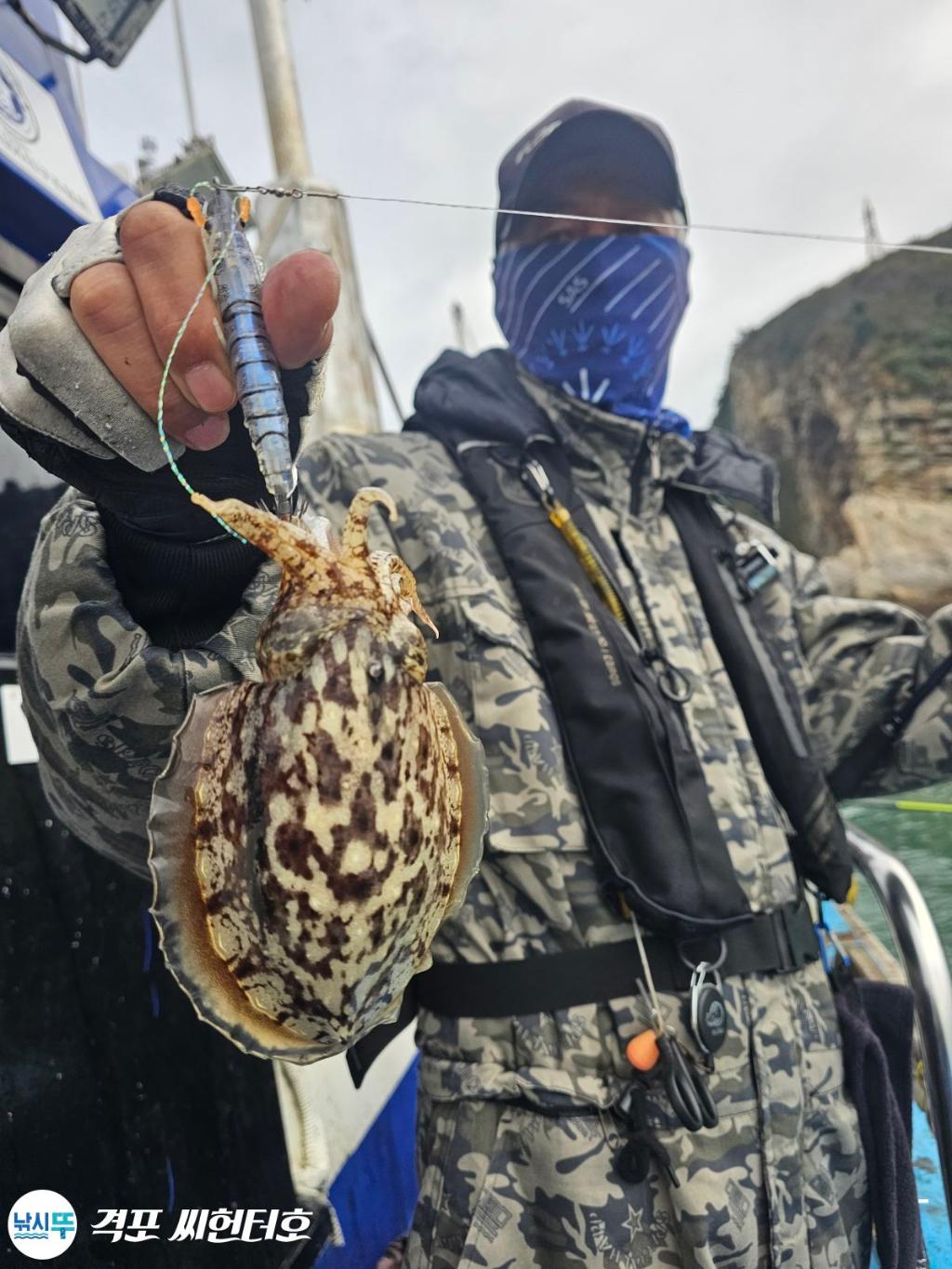 낚시뚜,갑오징어,격포,격포 씨헌터호,낚시뚜13