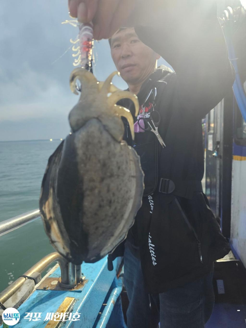 낚시뚜,갑오징어,격포,격포 씨헌터호,낚시뚜11