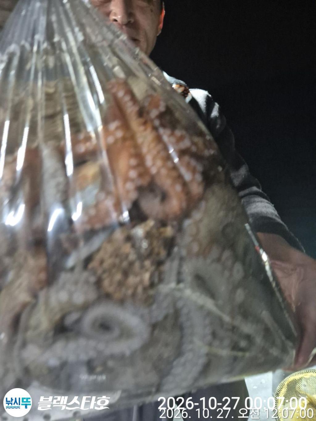 낚시뚜,돌문어,삼천포 팔포항,삼천포 블랙스타,낚시뚜1