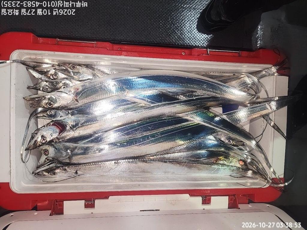 낚시뚜,갈치,속천항(진해),바루나피싱,낚시뚜1