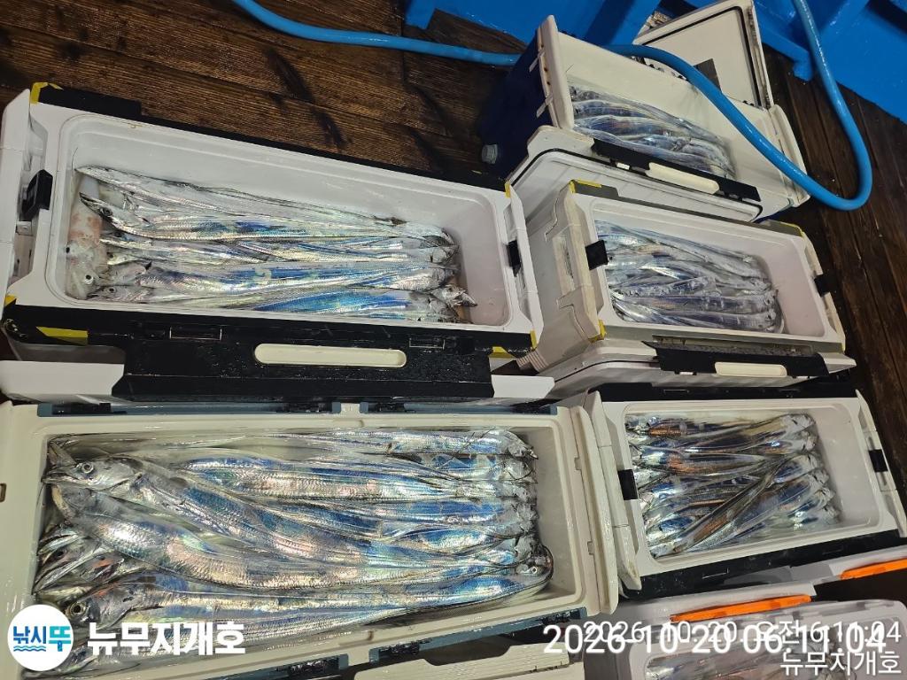 낚시뚜,갈치,통영영운리항,뉴무지개호,낚시뚜11