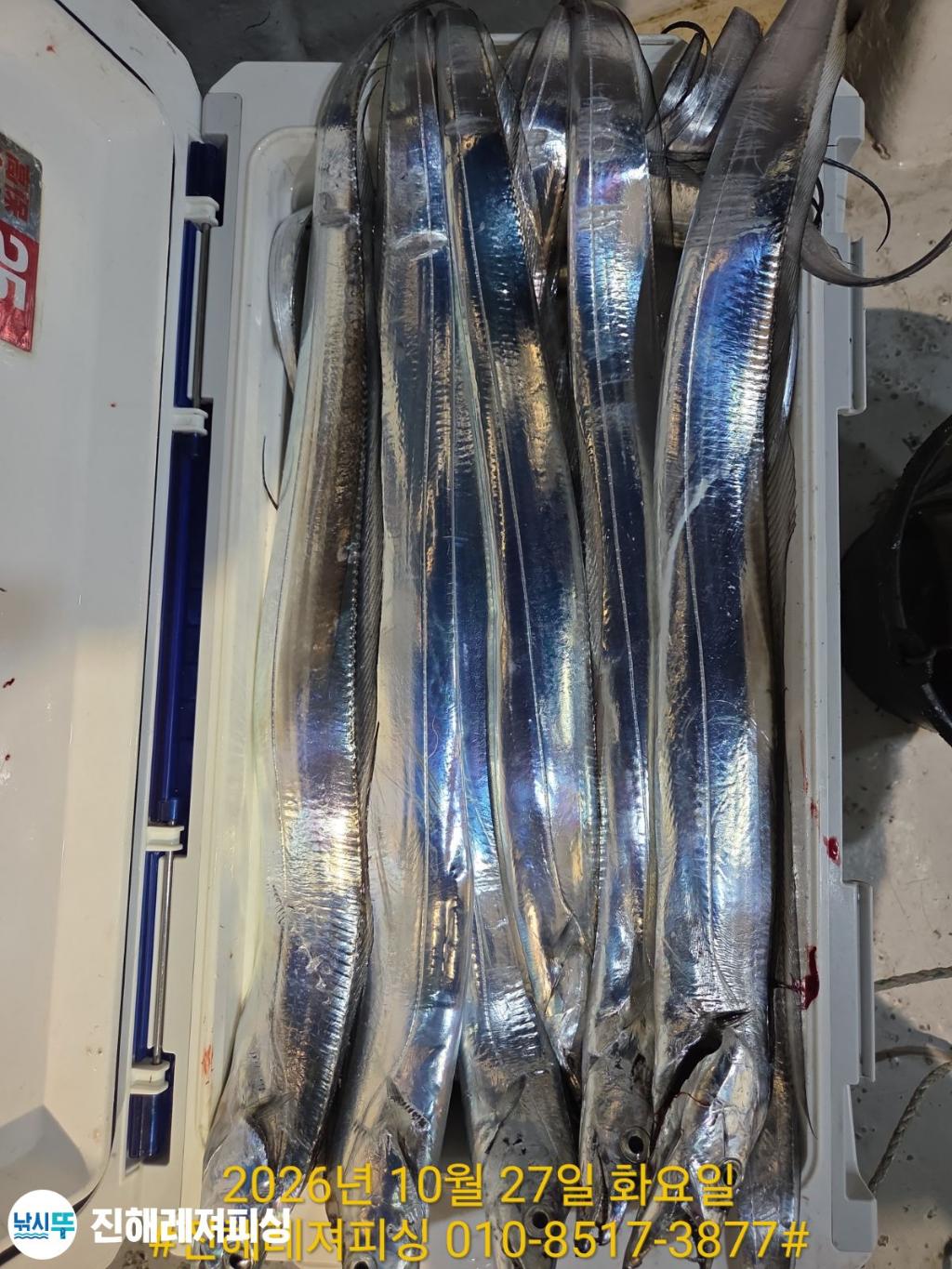 낚시뚜,갈치,진해1부두항,진해레져피싱,낚시뚜13