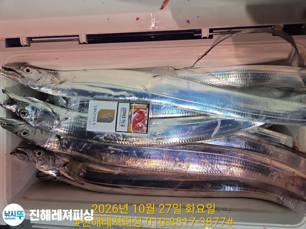 낚시뚜,갈치,진해1부두항,진해레져피싱,낚시뚜9