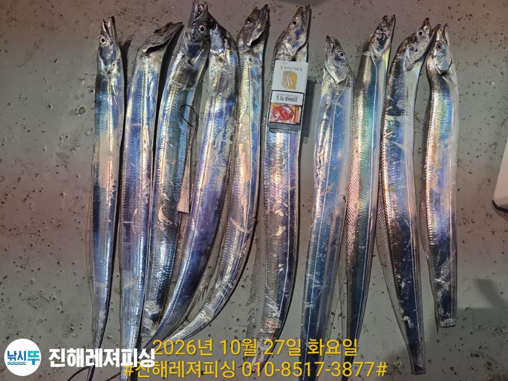 낚시뚜,갈치,진해1부두항,진해레져피싱,낚시뚜8