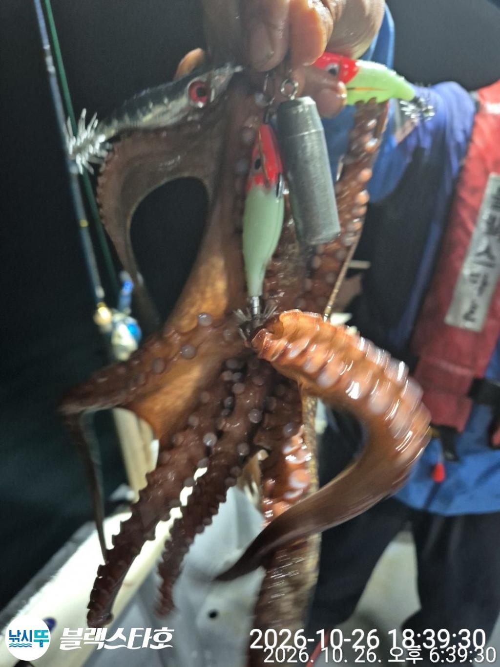 낚시뚜,돌문어,삼천포 팔포항,삼천포 블랙스타,낚시뚜2