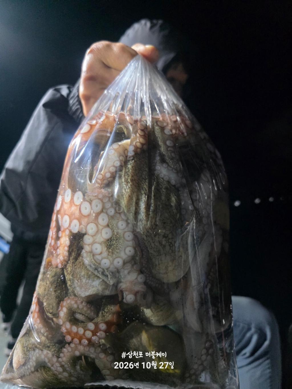 낚시뚜,돌문어,쭈꾸미,삼천포 팔포항,삼천포 더블케이호,낚시뚜21