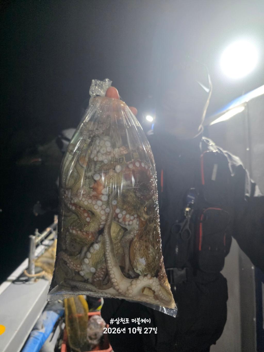 낚시뚜,돌문어,쭈꾸미,삼천포 팔포항,삼천포 더블케이호,낚시뚜20