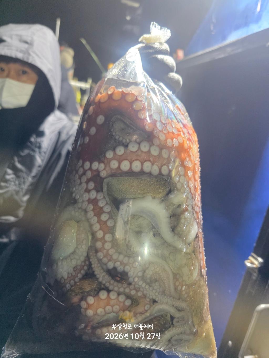 낚시뚜,돌문어,쭈꾸미,삼천포 팔포항,삼천포 더블케이호,낚시뚜18