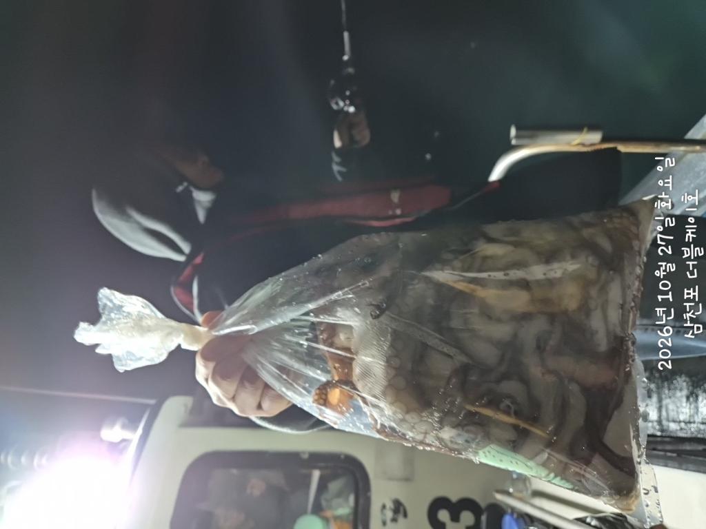 낚시뚜,돌문어,쭈꾸미,삼천포 팔포항,삼천포 더블케이호,낚시뚜17