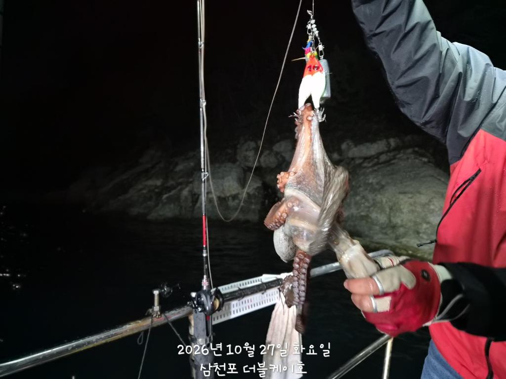 낚시뚜,돌문어,쭈꾸미,삼천포 팔포항,삼천포 더블케이호,낚시뚜10
