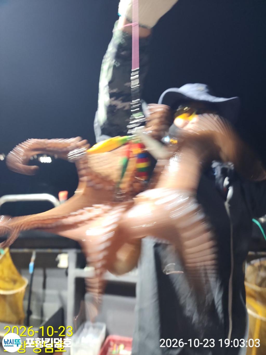 낚시뚜,돌문어,쭈꾸미,영일만항,포항 킹덤호,낚시뚜15