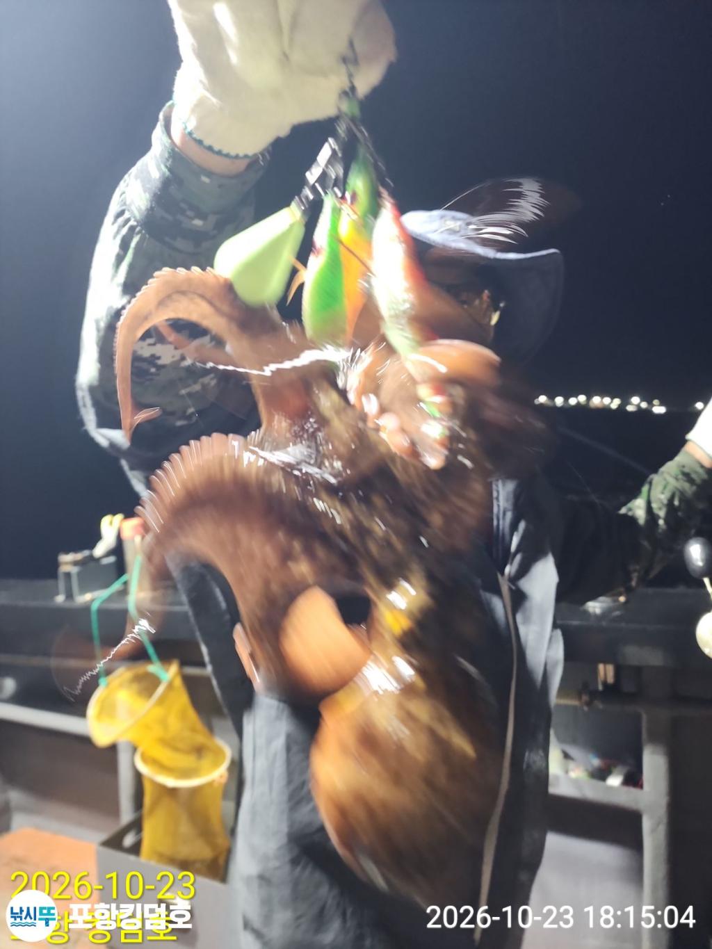 낚시뚜,돌문어,쭈꾸미,영일만항,포항 킹덤호,낚시뚜11