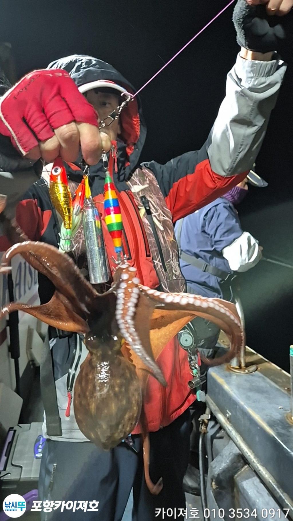 낚시뚜,돌문어,영일만항,포항카이져호,낚시뚜43