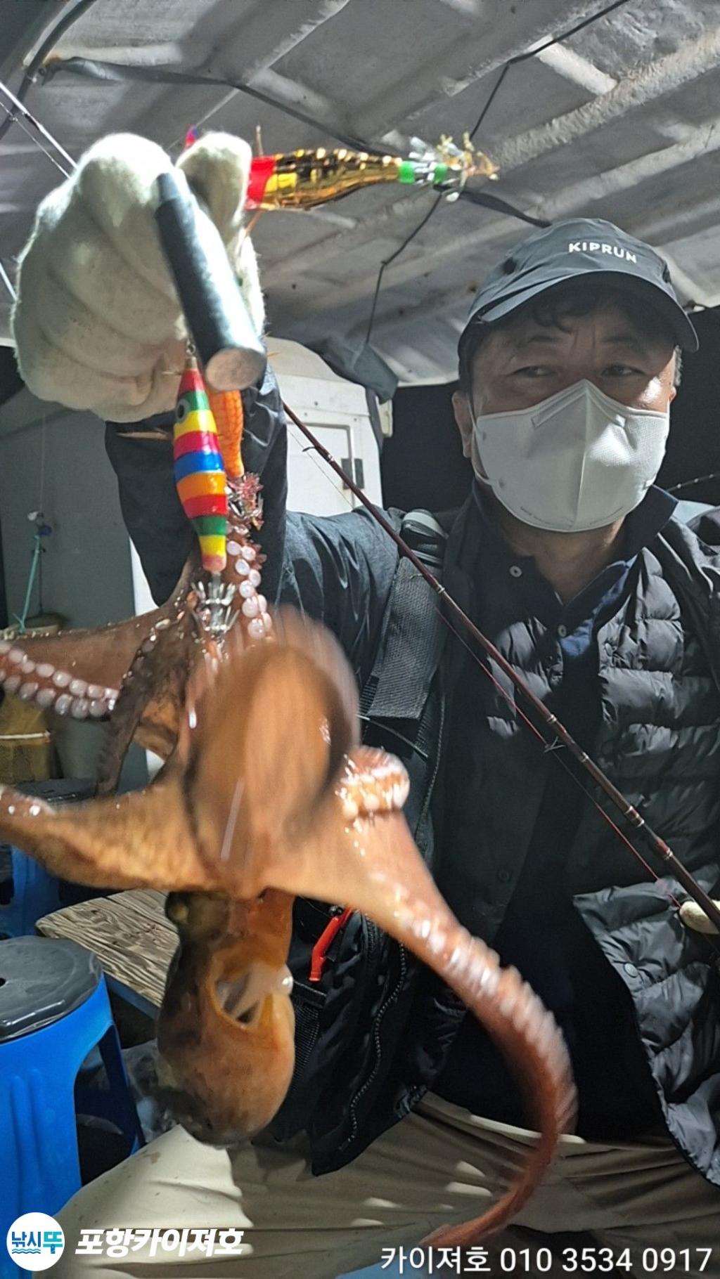낚시뚜,돌문어,영일만항,포항카이져호,낚시뚜35