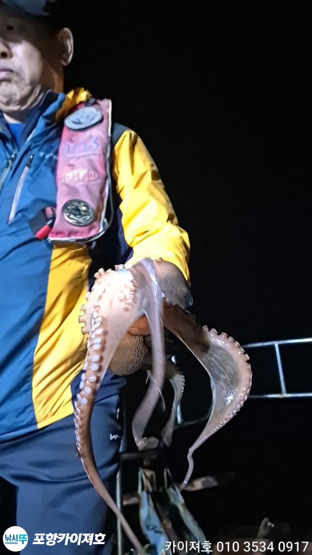 낚시뚜,돌문어,영일만항,포항카이져호,낚시뚜29