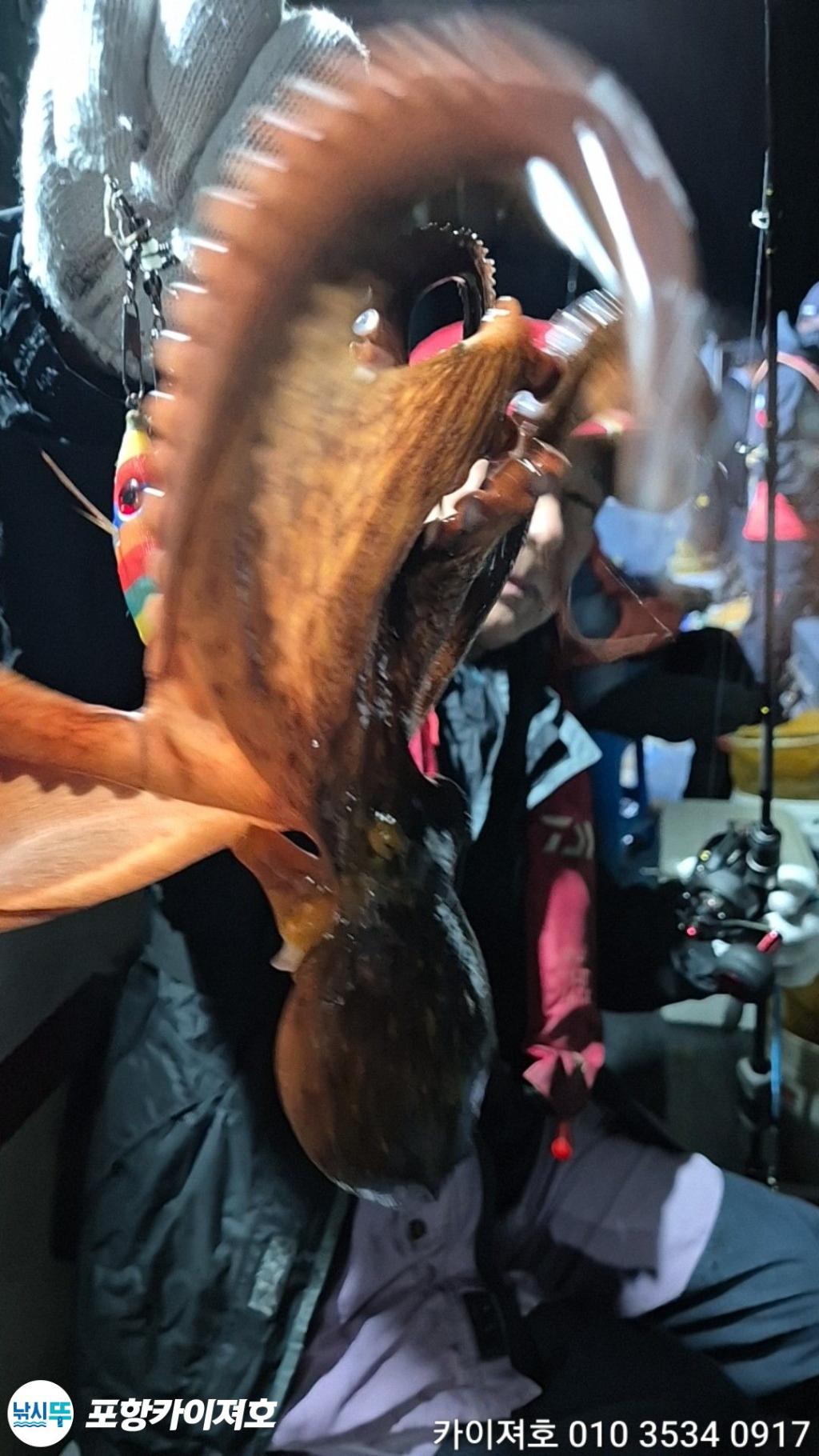 낚시뚜,돌문어,영일만항,포항카이져호,낚시뚜25
