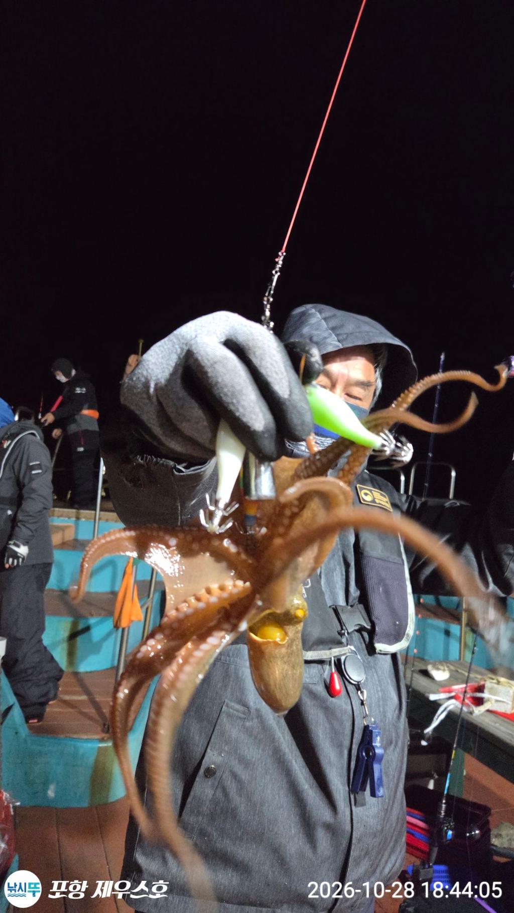 낚시뚜,돌문어,쭈꾸미,영일만항,포항 제우스호,낚시뚜19