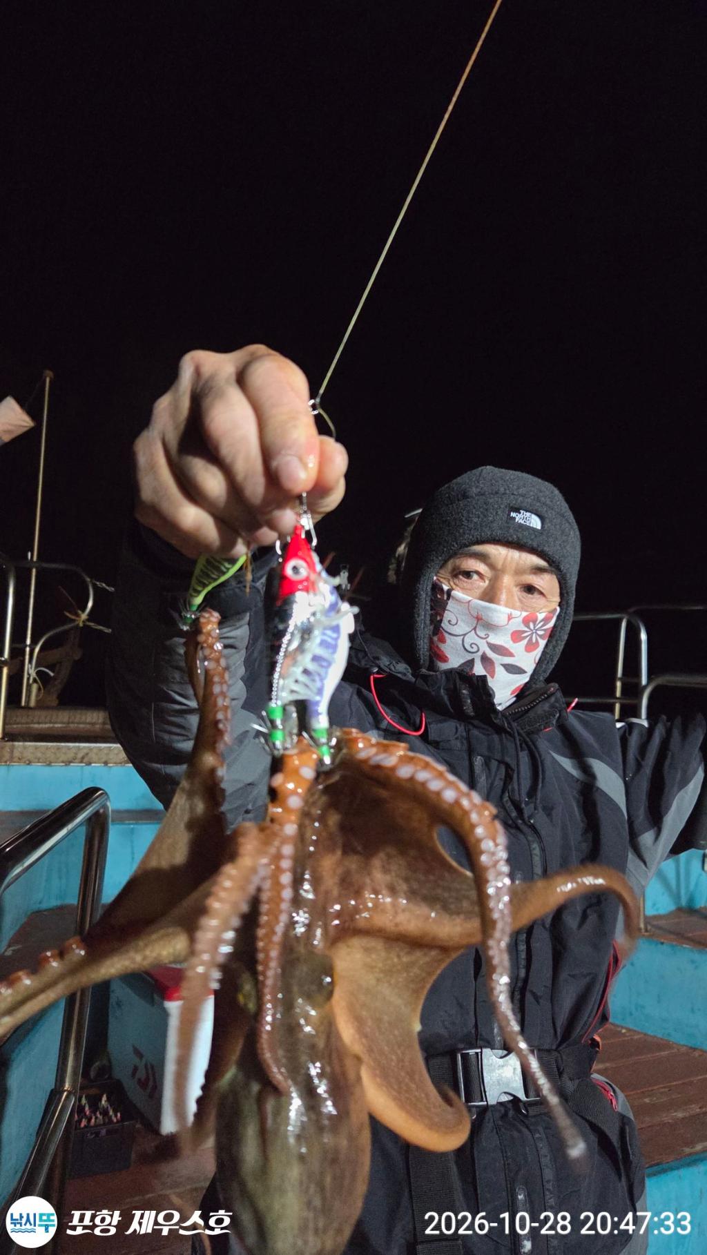 낚시뚜,돌문어,쭈꾸미,영일만항,포항 제우스호,낚시뚜2