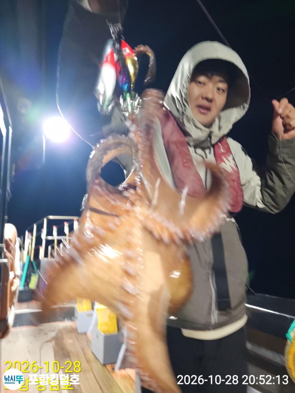 낚시뚜,돌문어,쭈꾸미,영일만항,포항 킹덤호,낚시뚜17