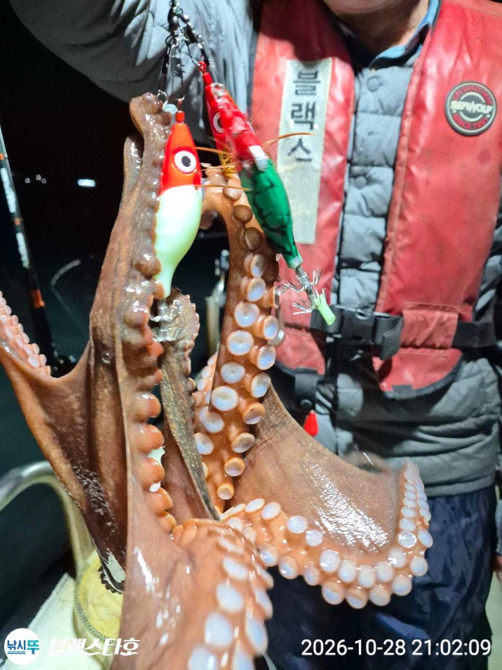 낚시뚜,돌문어,삼천포 팔포항,삼천포 블랙스타,낚시뚜24