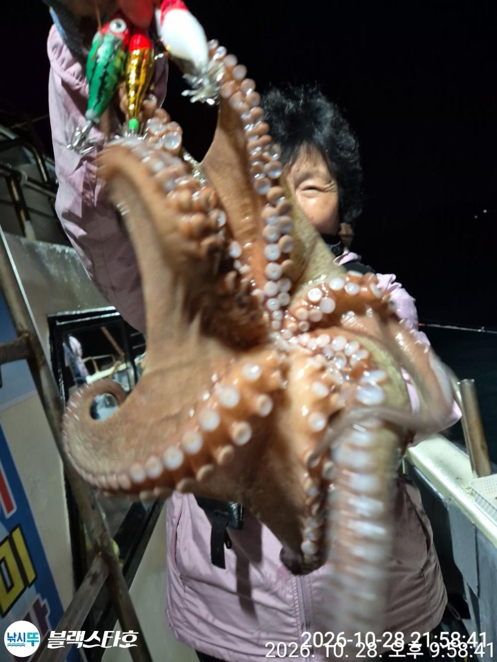 낚시뚜,돌문어,삼천포 팔포항,삼천포 블랙스타,낚시뚜22