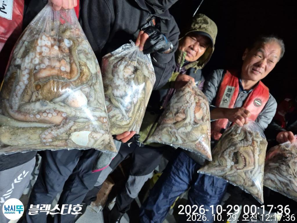 낚시뚜,돌문어,삼천포 팔포항,삼천포 블랙스타,낚시뚜0