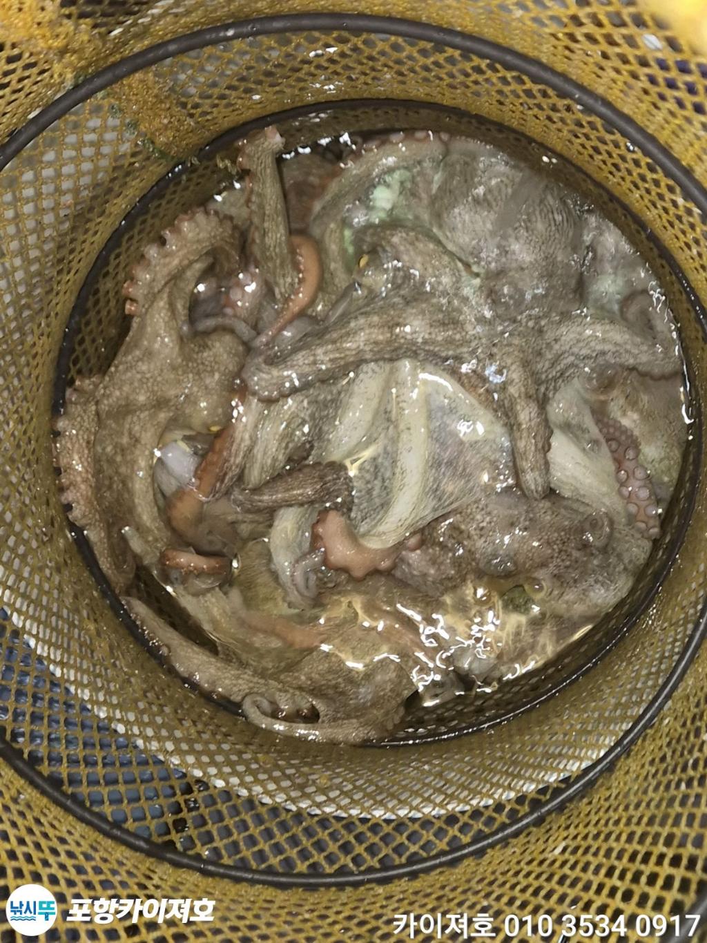 낚시뚜,기타 (직접입력),영일만항,포항카이져호,낚시뚜39