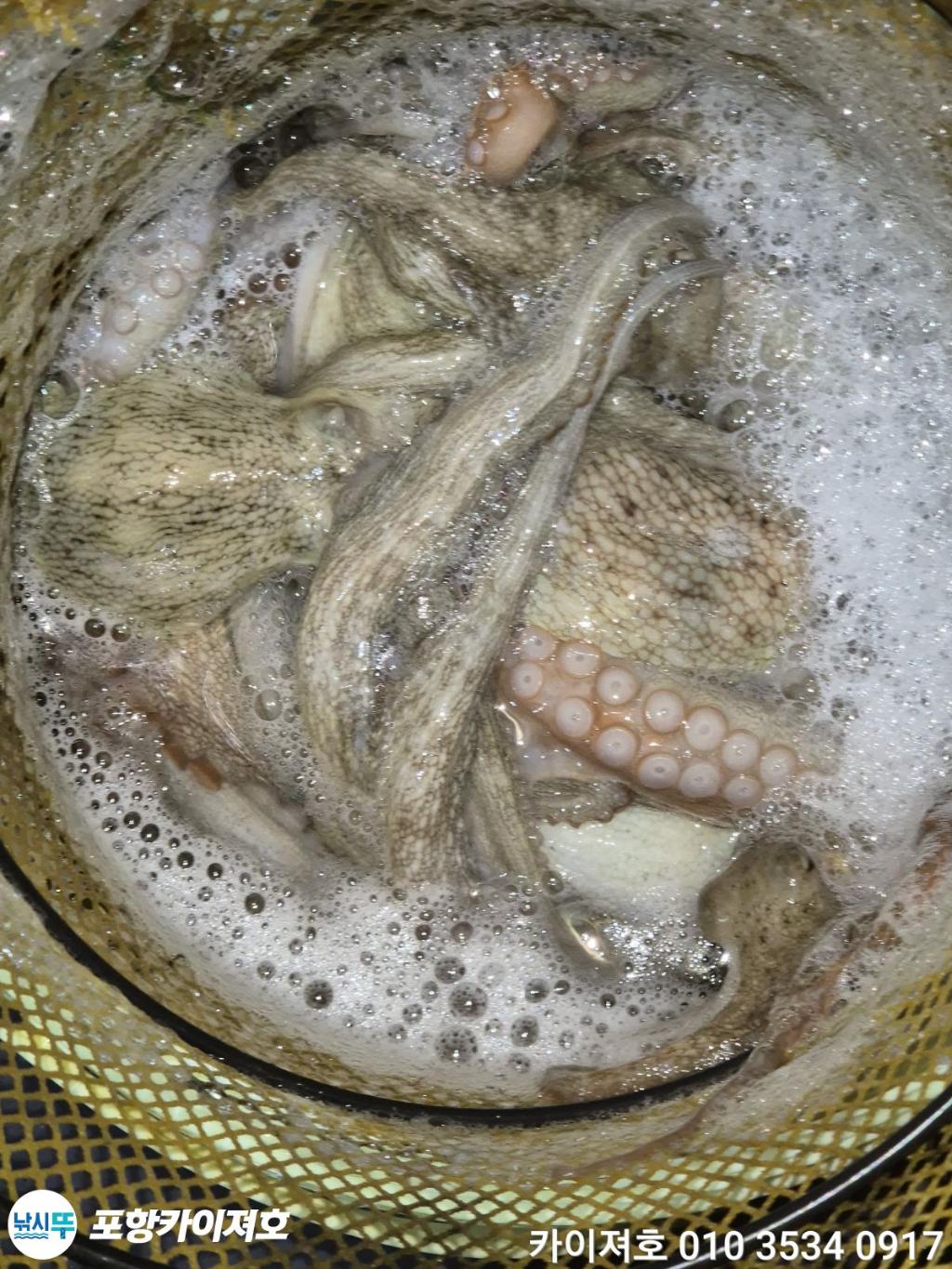 낚시뚜,기타 (직접입력),영일만항,포항카이져호,낚시뚜35