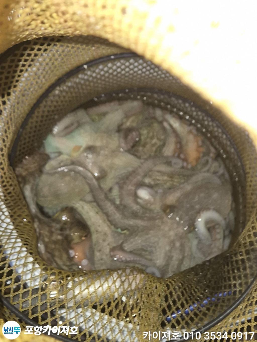 낚시뚜,기타 (직접입력),영일만항,포항카이져호,낚시뚜33
