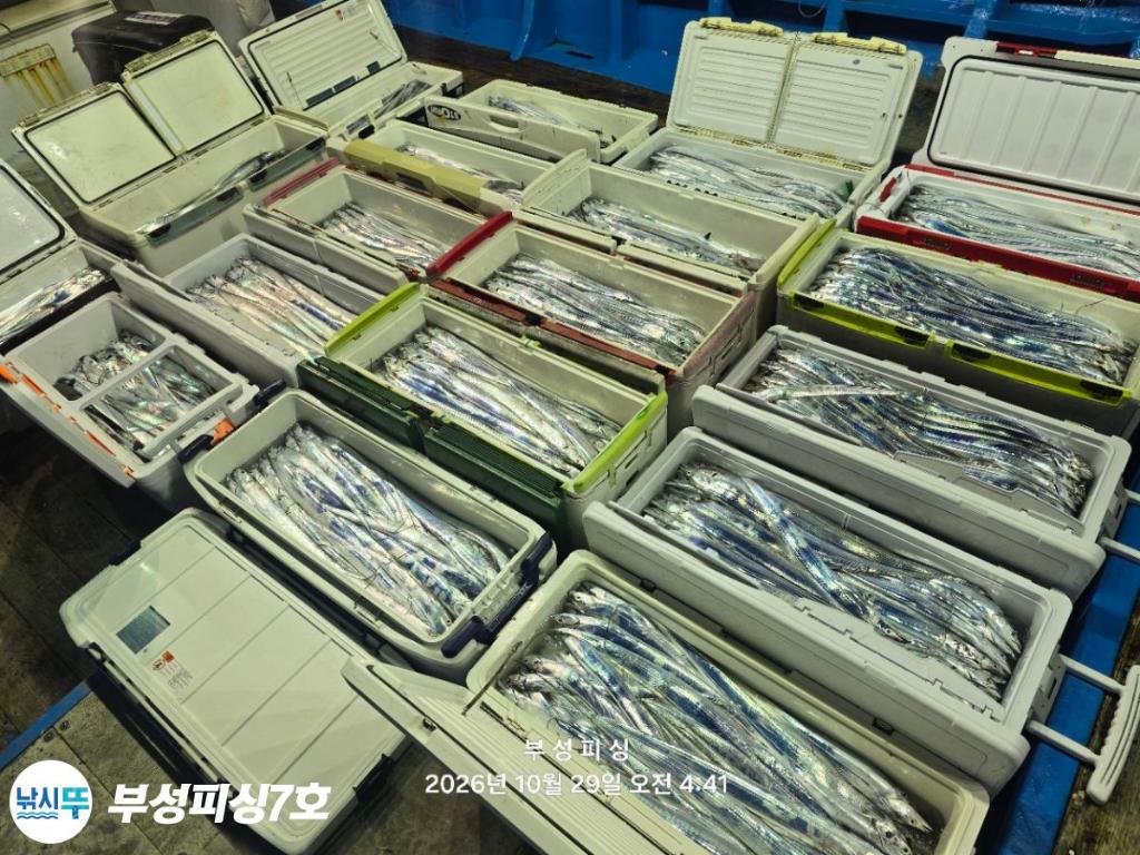 낚시뚜,갈치,통영영운리항,부성피싱7호,낚시뚜21