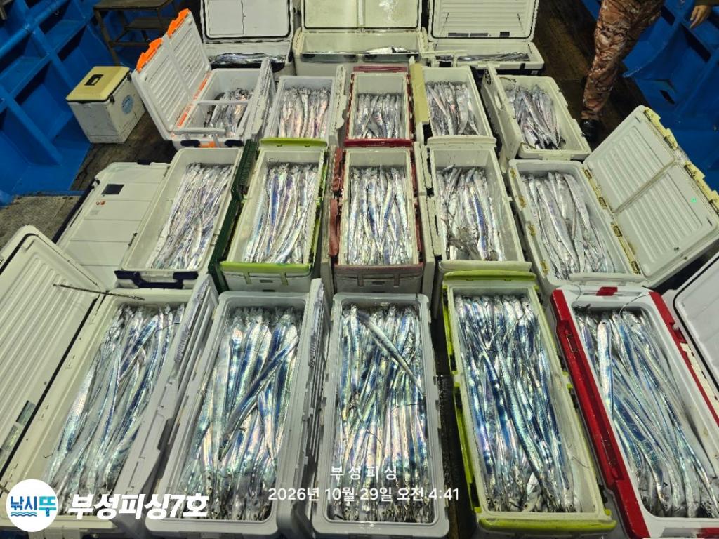 낚시뚜,갈치,통영영운리항,부성피싱7호,낚시뚜17