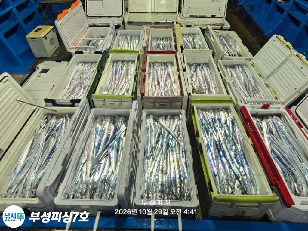 낚시뚜,갈치,통영영운리항,부성피싱7호,낚시뚜0