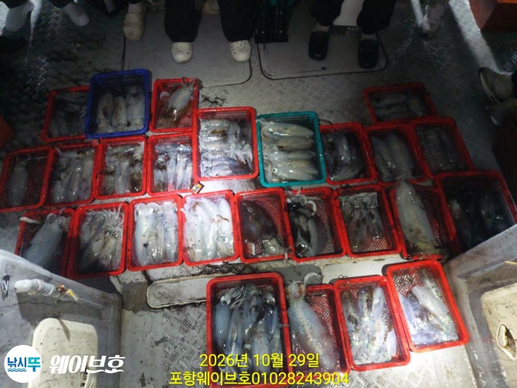 낚시뚜,무늬오징어,구룡포항,뉴웨이브호,낚시뚜23