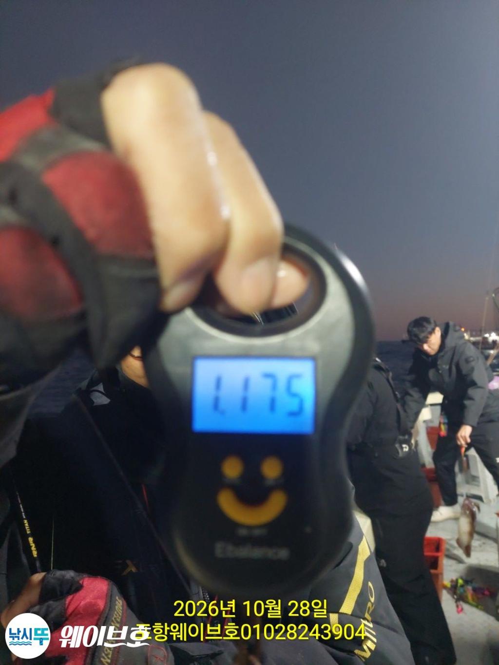 낚시뚜,무늬오징어,구룡포항,뉴웨이브호,낚시뚜8