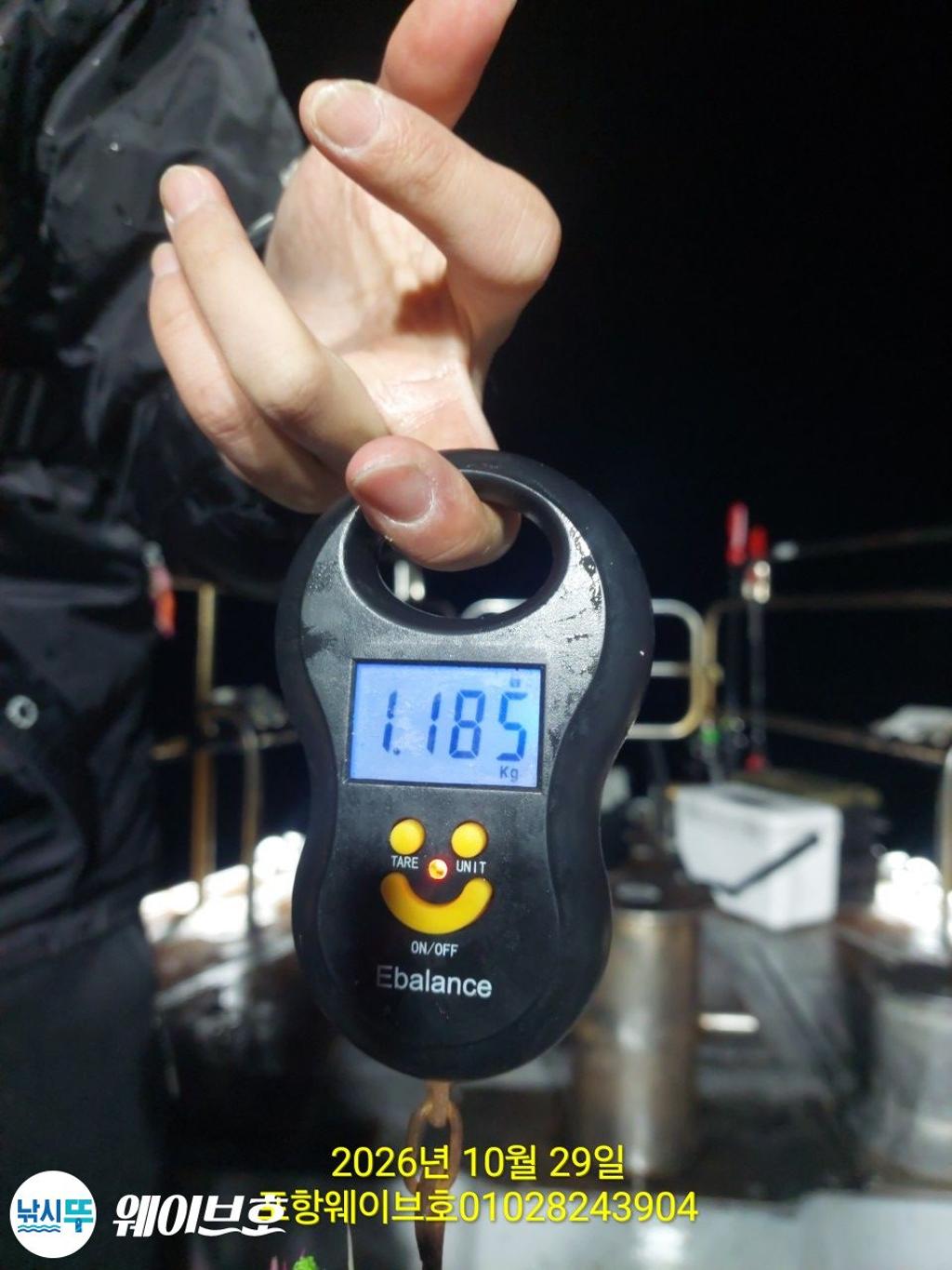 낚시뚜,무늬오징어,구룡포항,뉴웨이브호,낚시뚜2