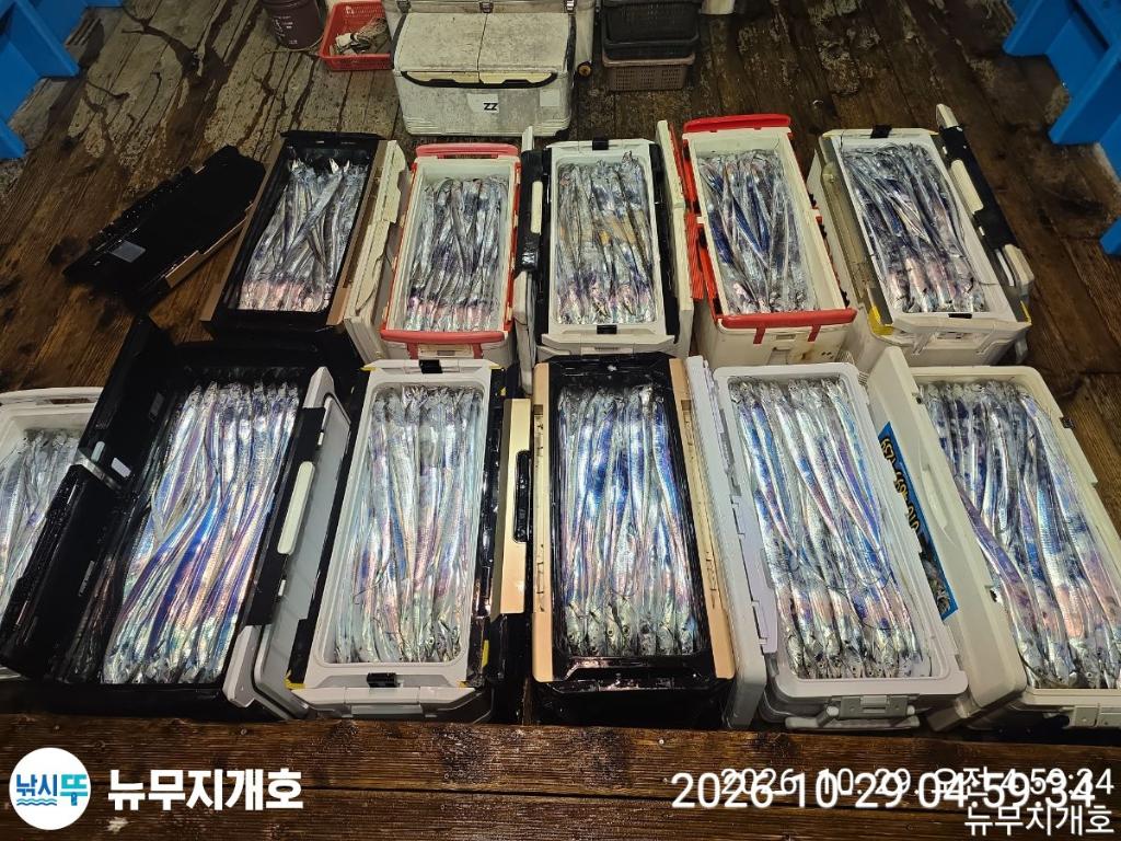 낚시뚜,갈치,통영영운리항,뉴무지개호,낚시뚜17
