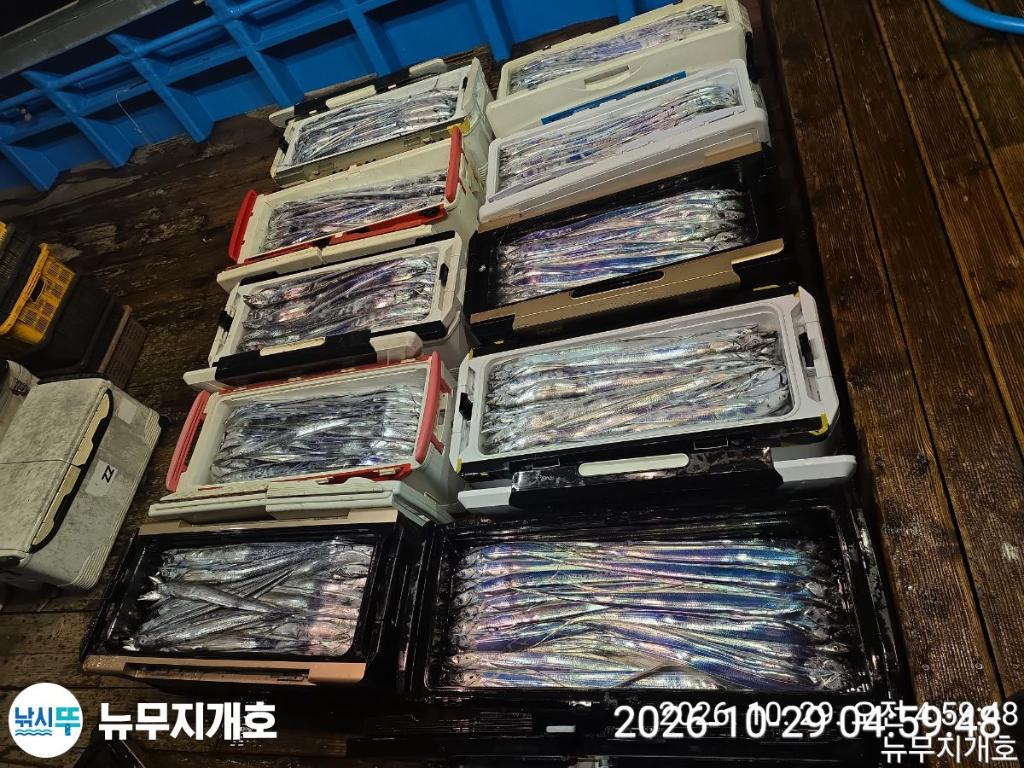 낚시뚜,갈치,통영영운리항,뉴무지개호,낚시뚜16