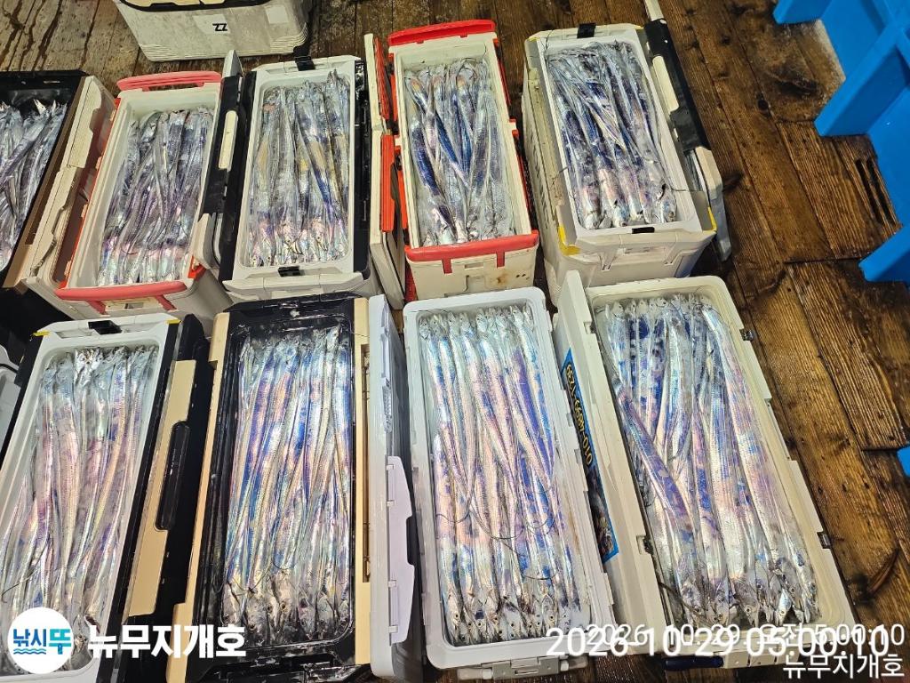 낚시뚜,갈치,통영영운리항,뉴무지개호,낚시뚜14