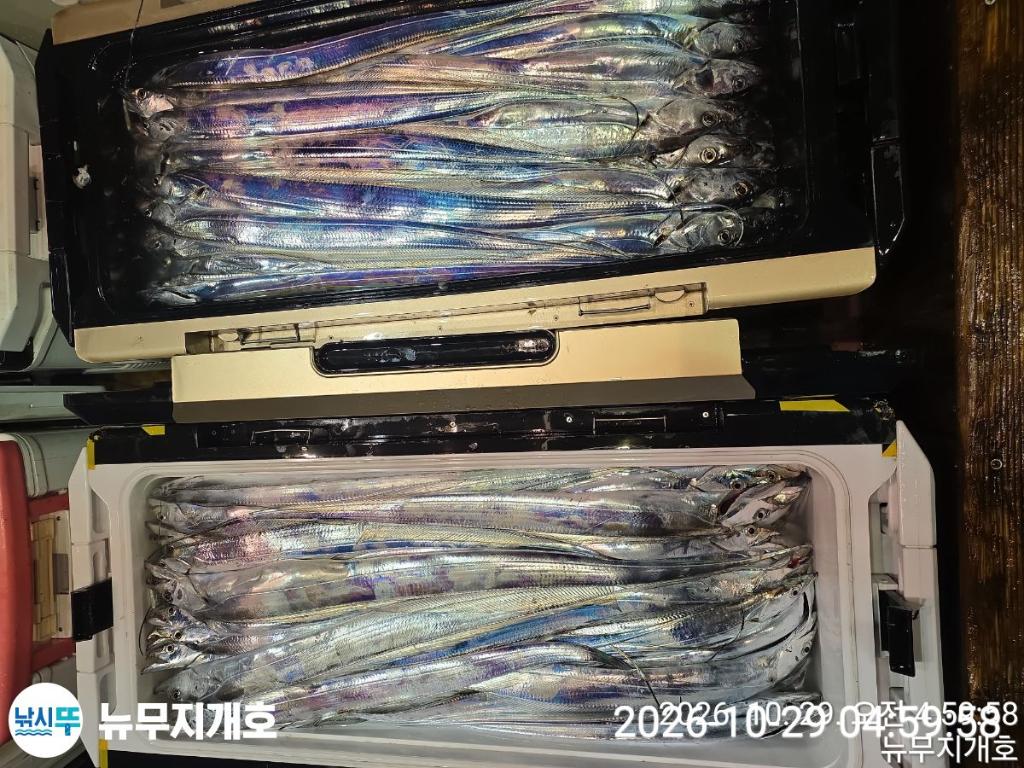 낚시뚜,갈치,통영영운리항,뉴무지개호,낚시뚜9