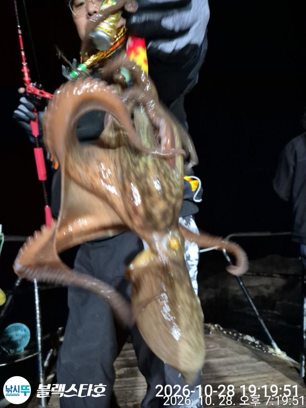 낚시뚜,돌문어,삼천포 팔포항,삼천포 블랙스타,낚시뚜10