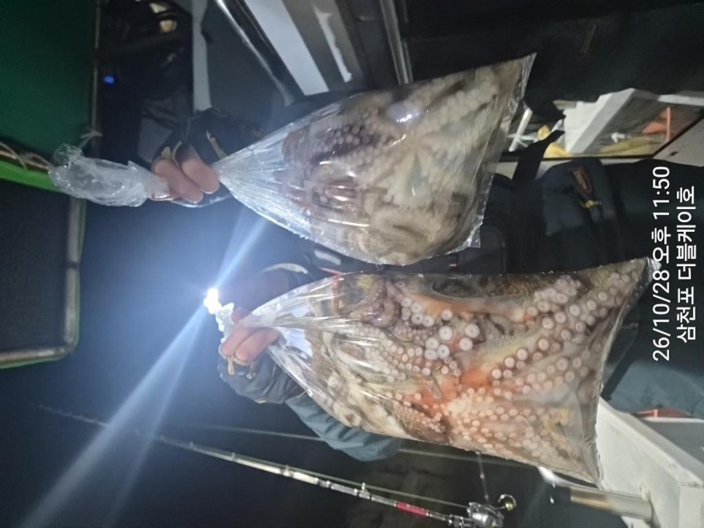 낚시뚜,돌문어,쭈꾸미,삼천포 팔포항,삼천포 더블케이호,낚시뚜35