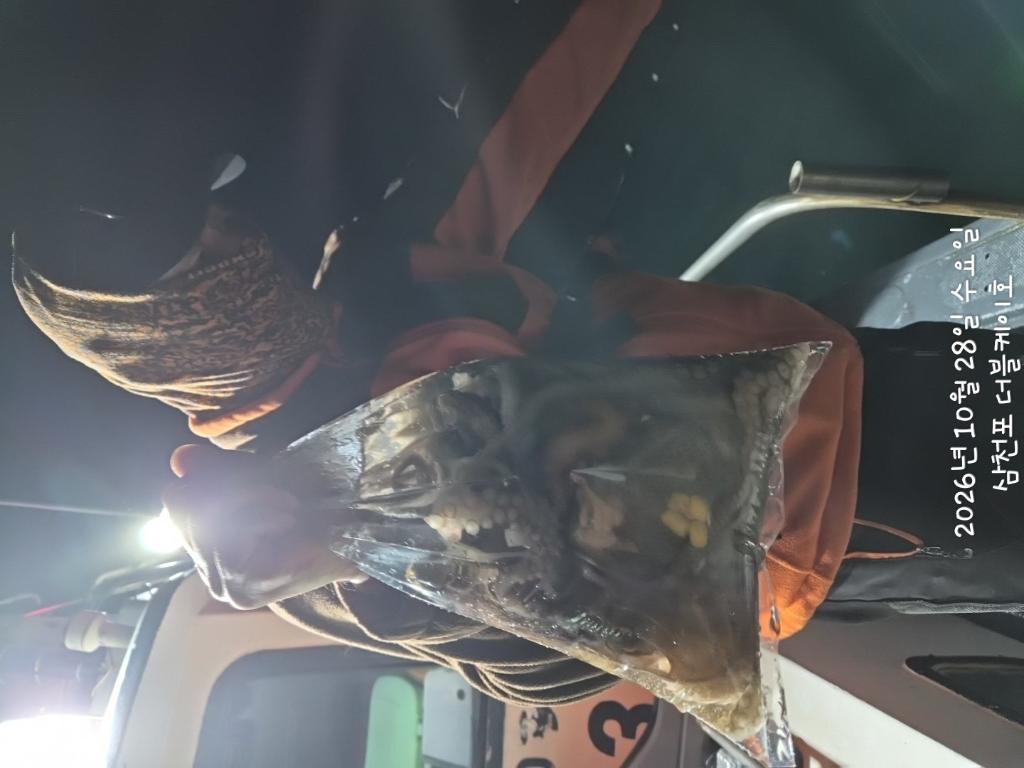 낚시뚜,돌문어,쭈꾸미,삼천포 팔포항,삼천포 더블케이호,낚시뚜5
