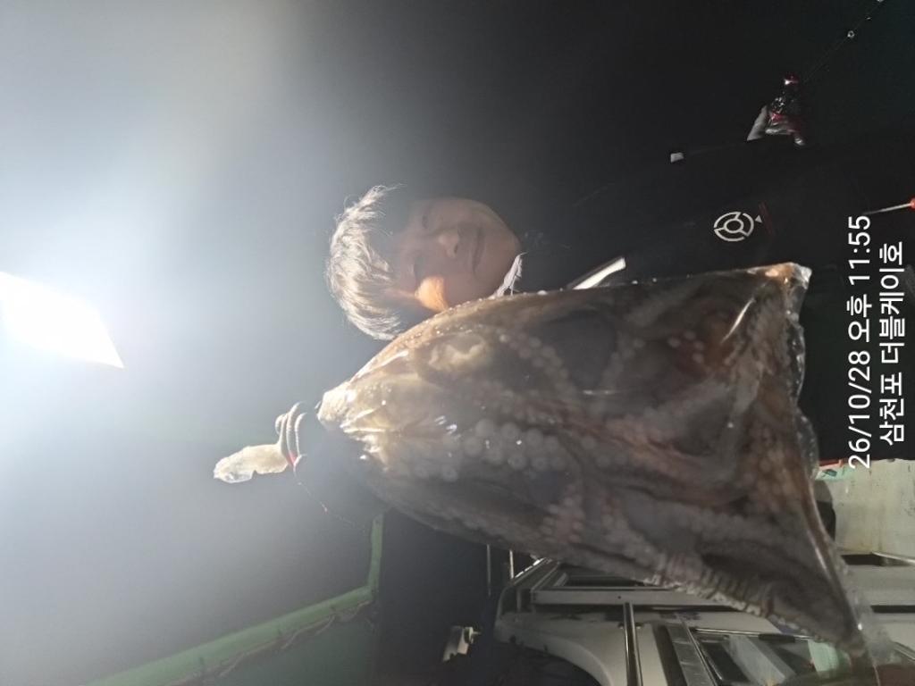낚시뚜,돌문어,쭈꾸미,삼천포 팔포항,삼천포 더블케이호,낚시뚜3