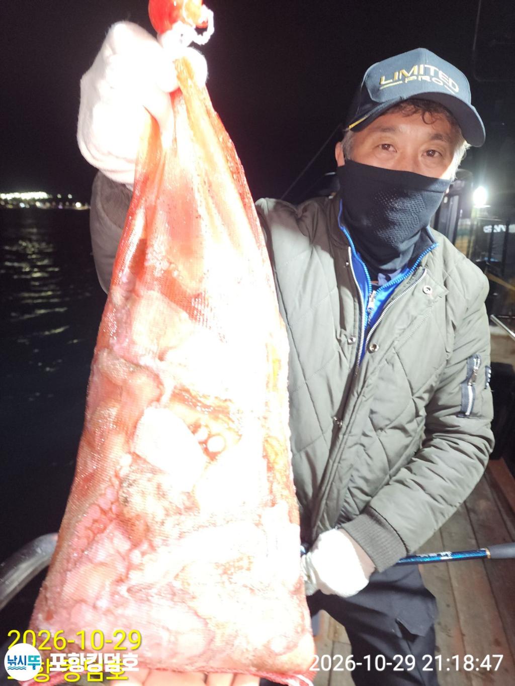 낚시뚜,돌문어,쭈꾸미,영일만항,포항 킹덤호,낚시뚜36