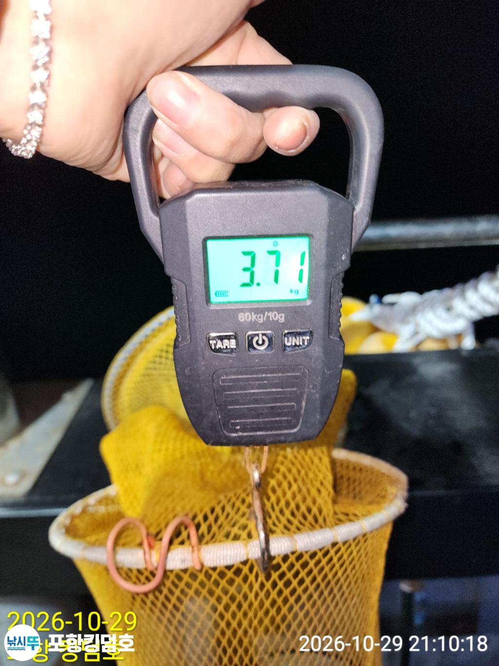 낚시뚜,돌문어,쭈꾸미,영일만항,포항 킹덤호,낚시뚜25