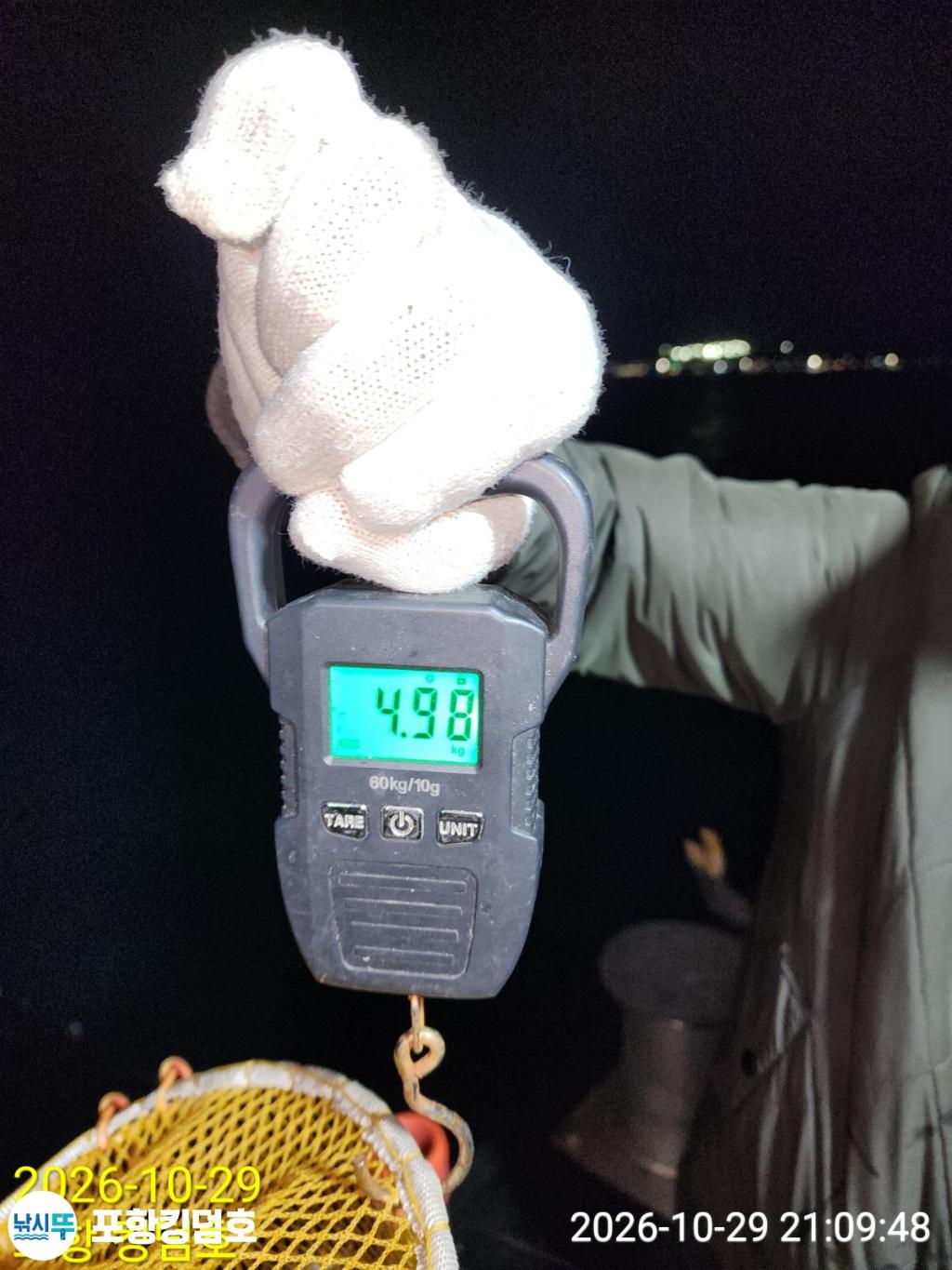 낚시뚜,돌문어,쭈꾸미,영일만항,포항 킹덤호,낚시뚜24